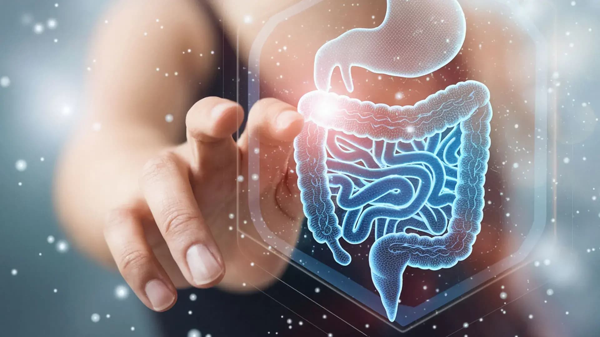 Reprezentare vizuală a sistemului digestiv pentru consultațiile de microbiom