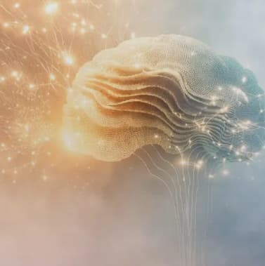 Reprezentare artistică a unei rețele cerebrale și a conexiunilor neuronale