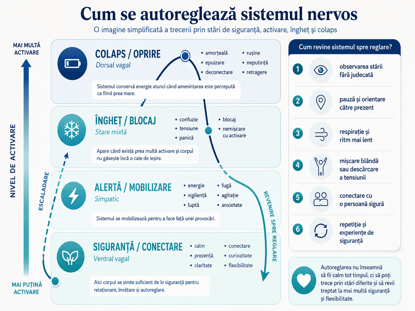 Diagramă educațională despre autoreglarea sistemului nervos